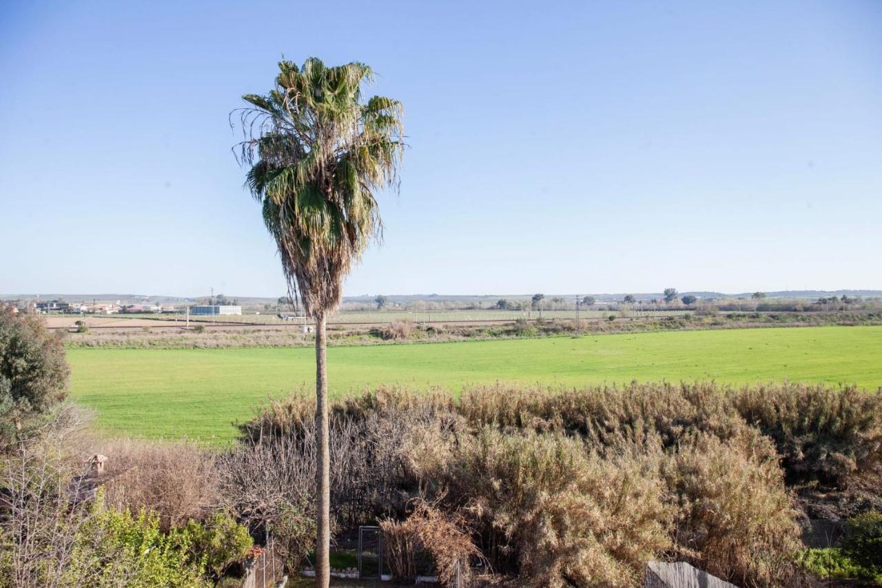 Casa Rural La Palmera Almodovar del Rio Ngoại thất bức ảnh