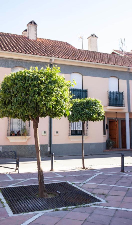 Casa Rural La Palmera Almodovar del Rio Ngoại thất bức ảnh