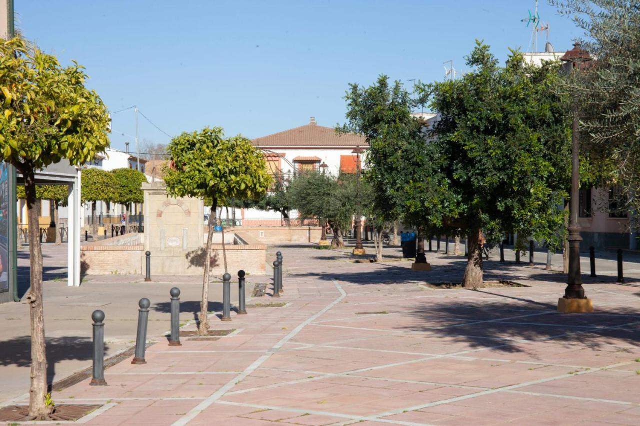 Casa Rural La Palmera Almodovar del Rio Ngoại thất bức ảnh